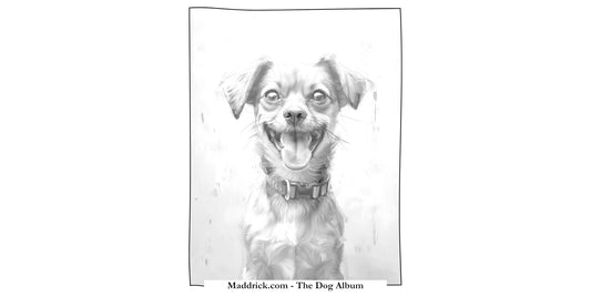 The Dog Album coloring book free coloring page - Happy Chihuahua