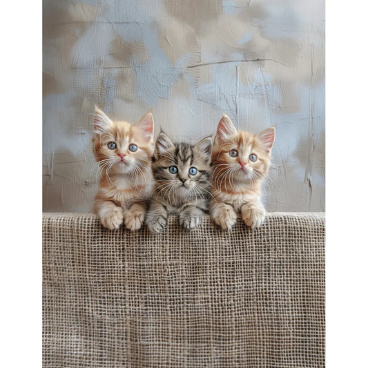 Trio de chatons sur une clôture en jute Affiche