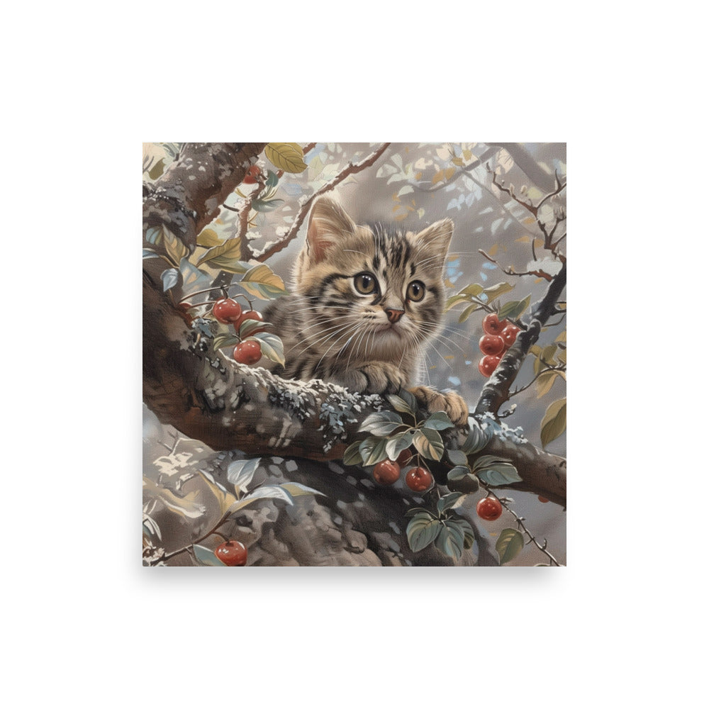 Chaton sur une branche d'arbre Affiche