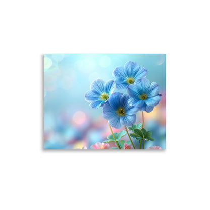 Macro de fleurs bleues Affiche