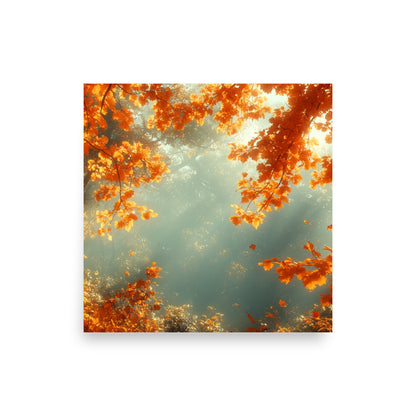 Autumn forest bathed in the sun Poster