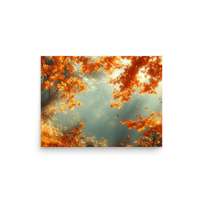 Autumn forest bathed in the sun Poster