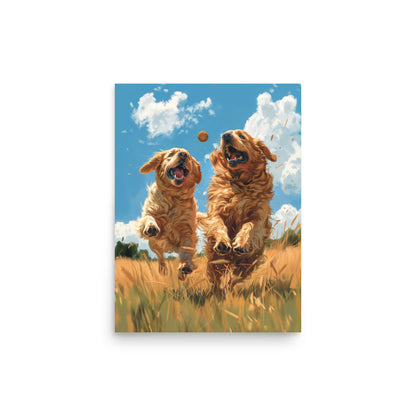 Two golden retriever dogs playing in a field Poster