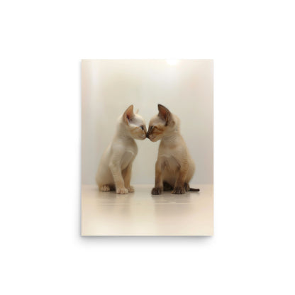 Two siamese kittens nose kissing Poster