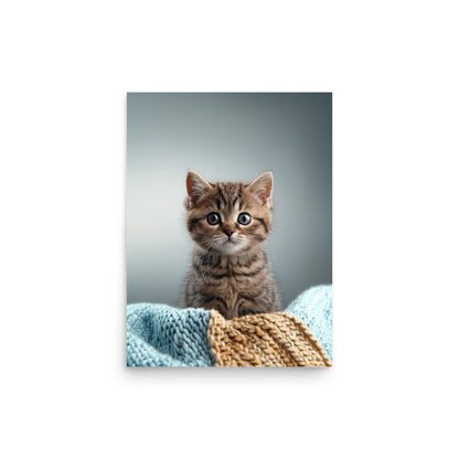 Brown tabby kitten on a throw blanket Poster