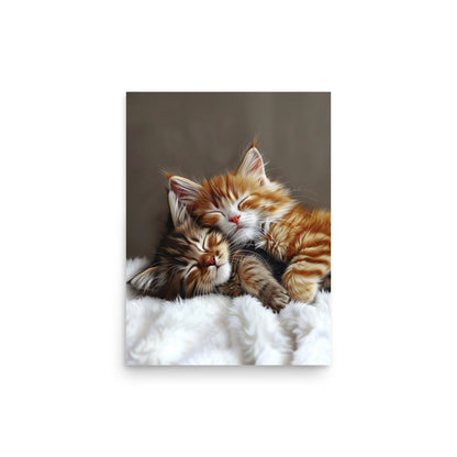 Deux chatons tigrés dormant Affiche