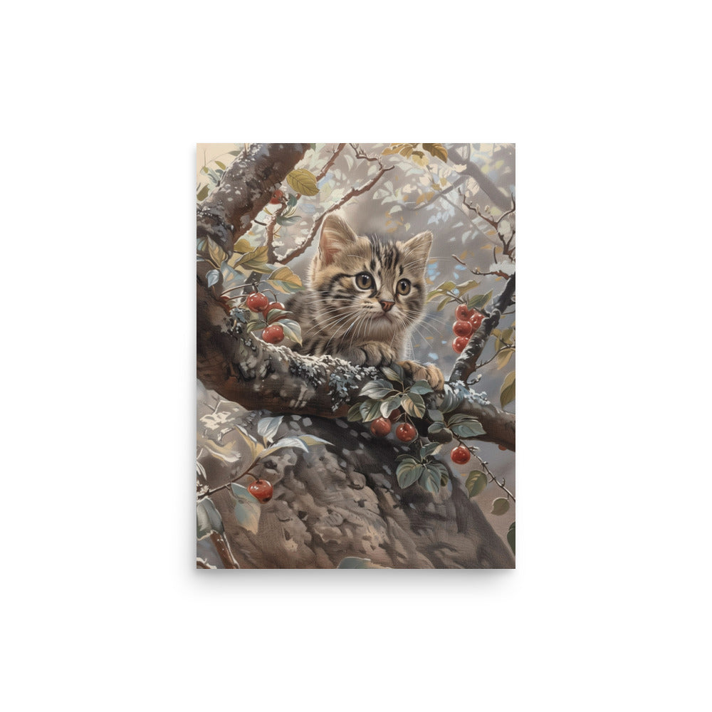 Chaton sur une branche d'arbre Affiche