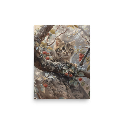 Chaton sur une branche d'arbre Affiche