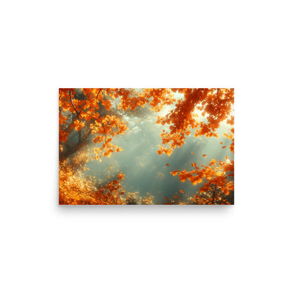 Autumn forest bathed in the sun Poster