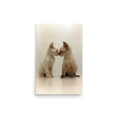 Two siamese kittens nose kissing Poster