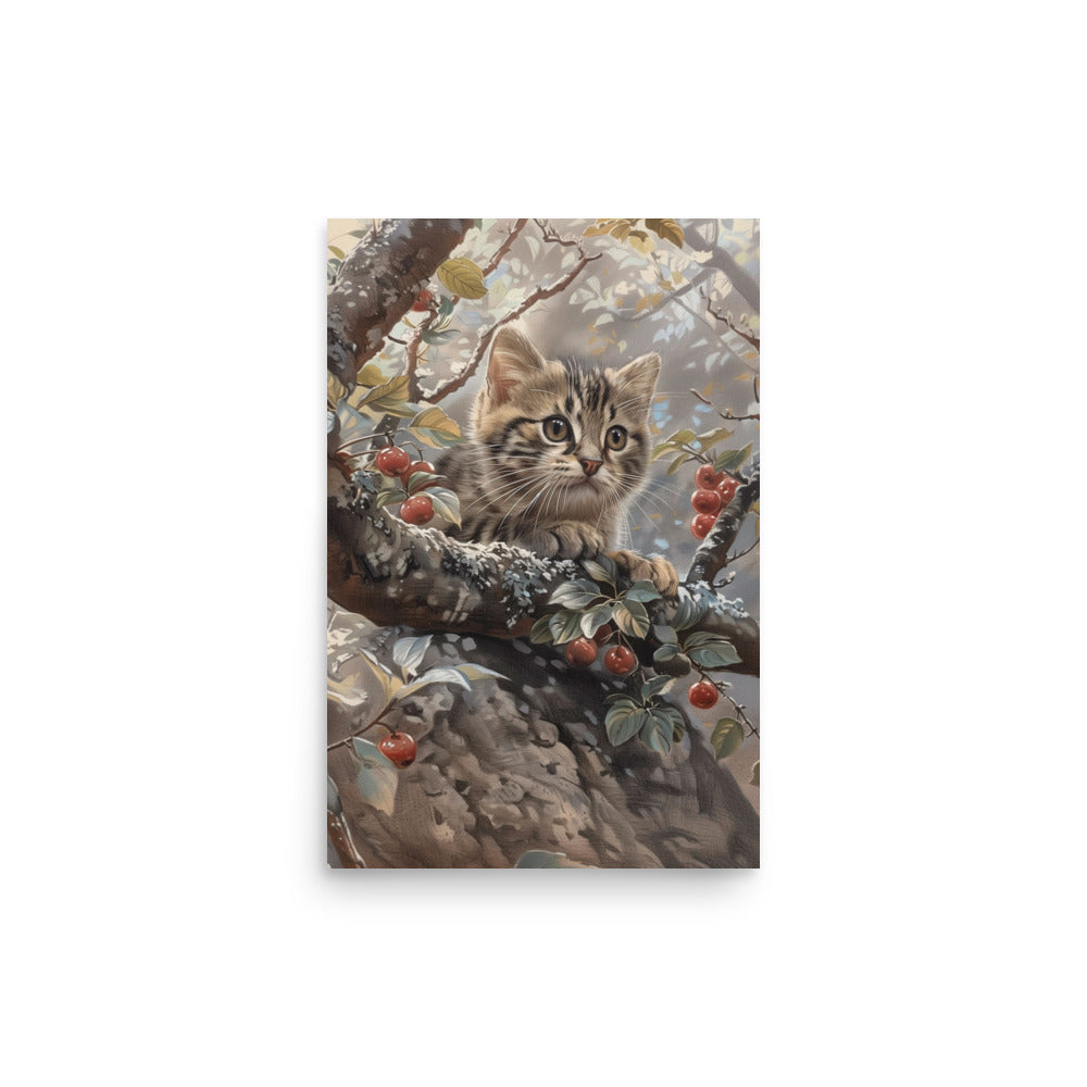 Chaton sur une branche d'arbre Affiche