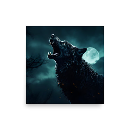 Black Wolf howling at the moon - Poster