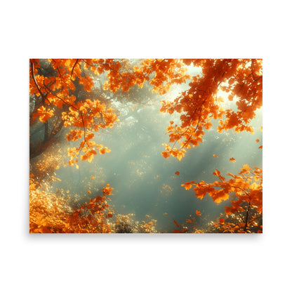 Autumn forest bathed in the sun Poster