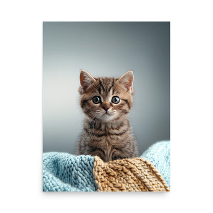 Brown tabby kitten on a throw blanket Poster