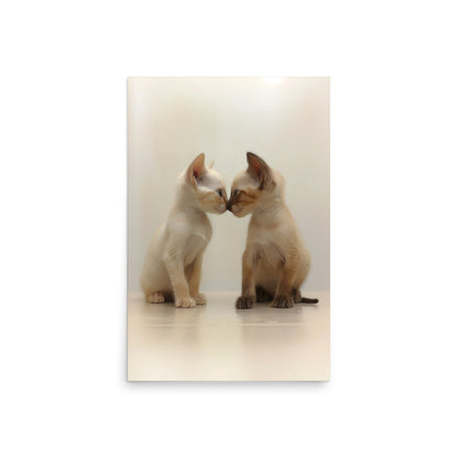 Two siamese kittens nose kissing Poster