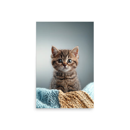 Brown tabby kitten on a throw blanket Poster