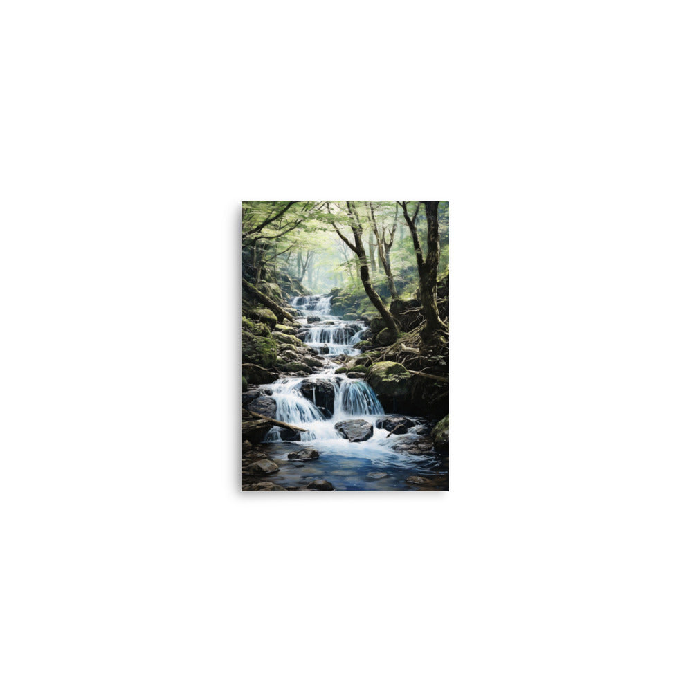 Lush forest and water stream Poster