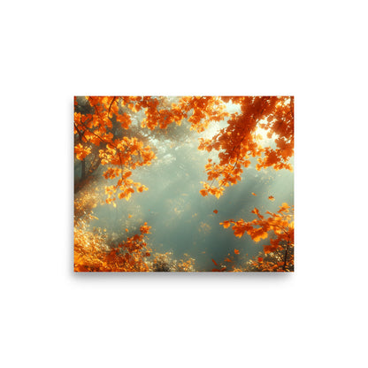 Autumn forest bathed in the sun Poster