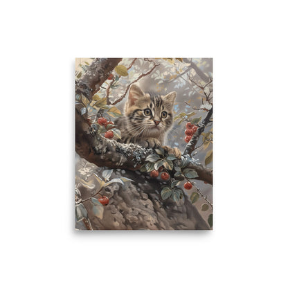 Chaton sur une branche d'arbre Affiche